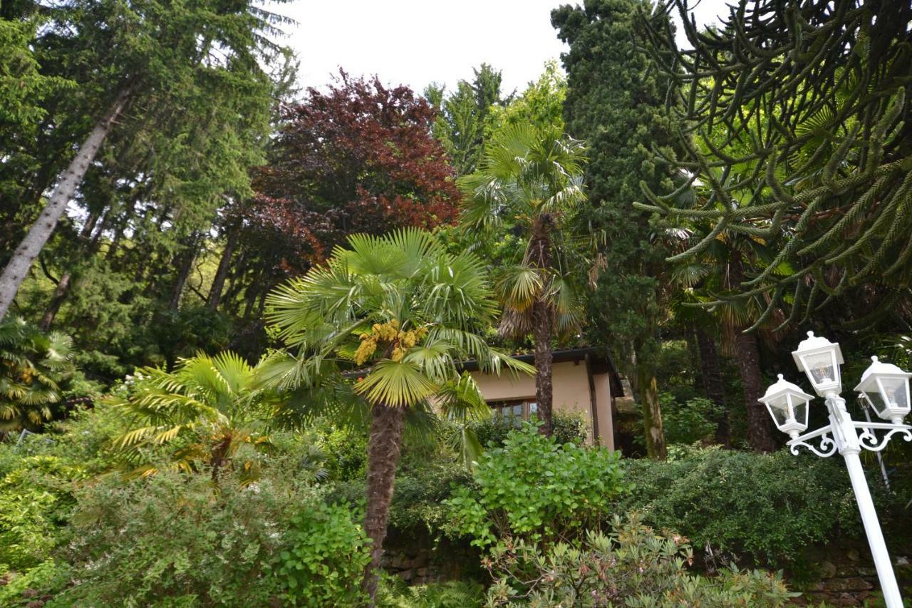 Villa Rina Deluxe And Cottage Porto Ceresio Exteriör bild